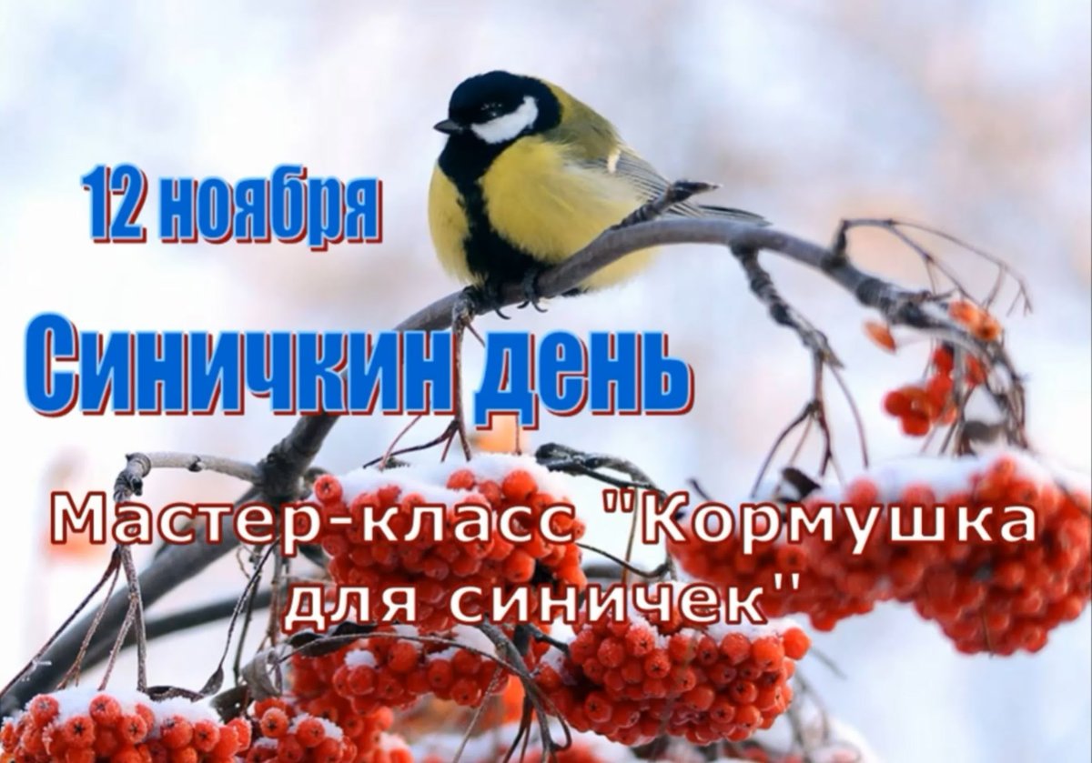 12 Ноября Синичкин календарь