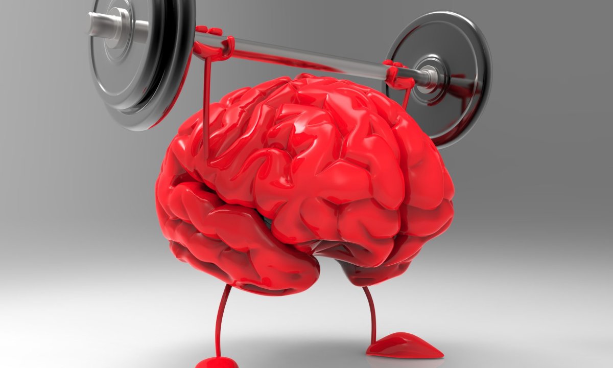 Мозг тренируется