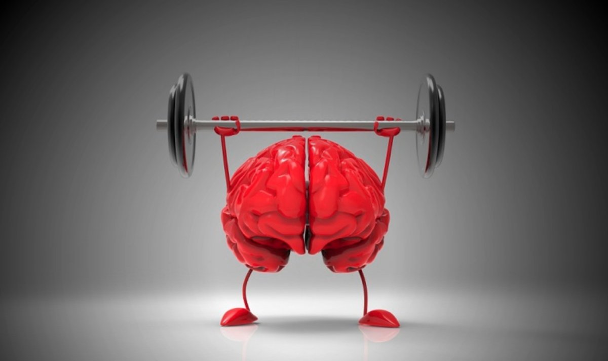 Тренировка мозга