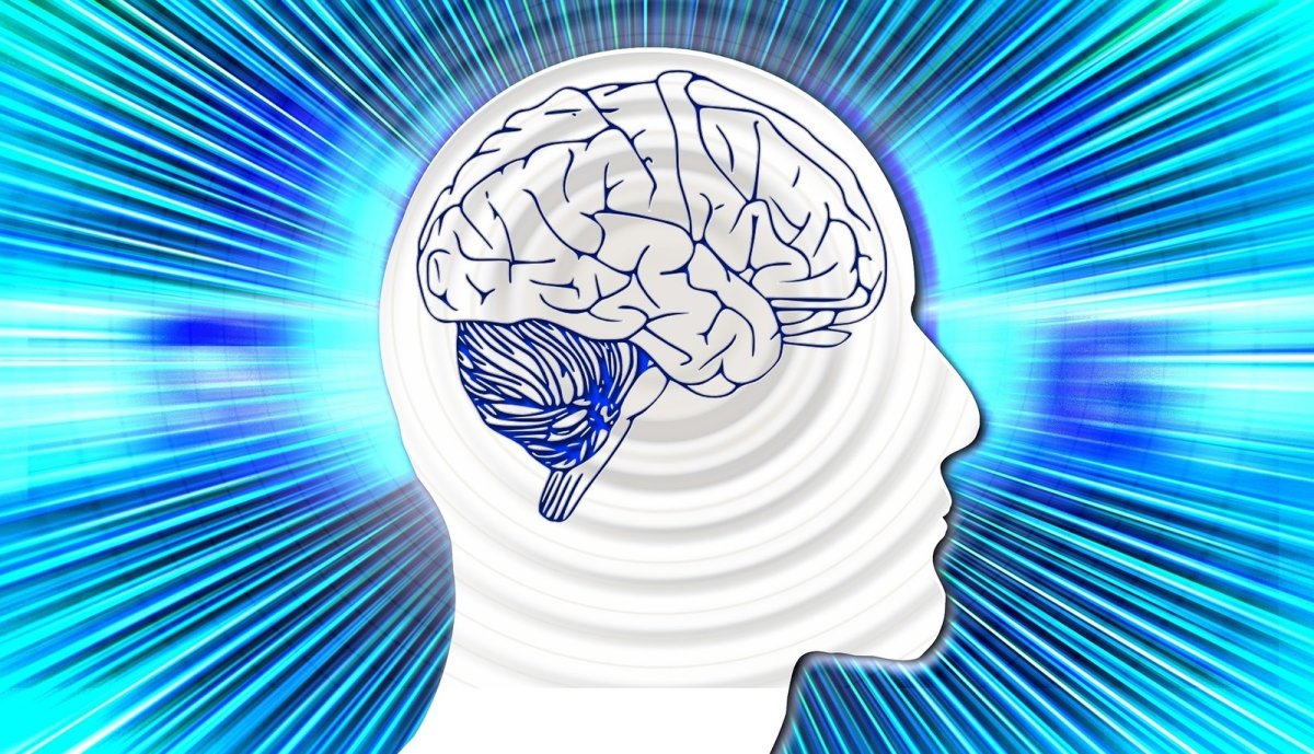 Тренировка мозга