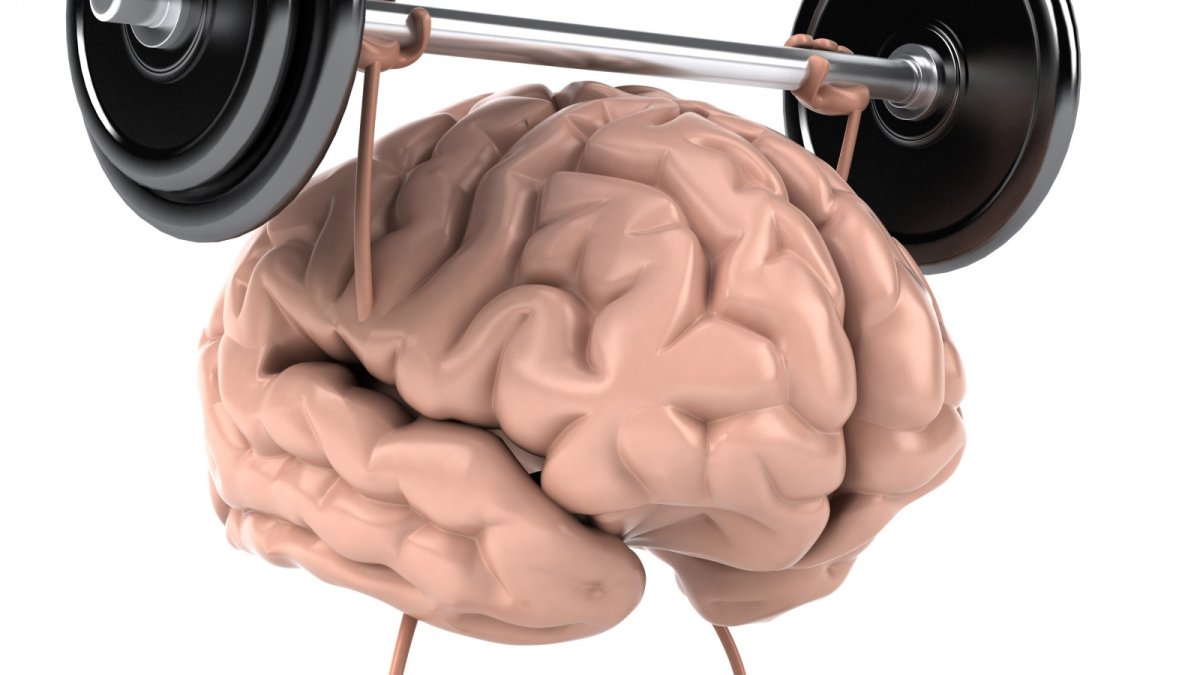 Мозг в цепях