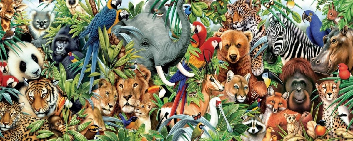 Царство животные