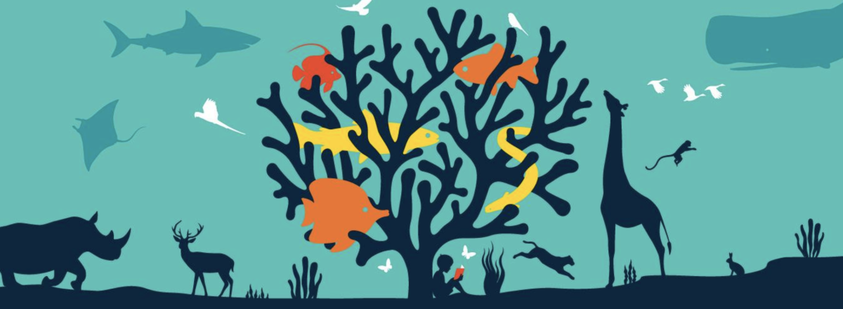 Всемирный день дикой природы