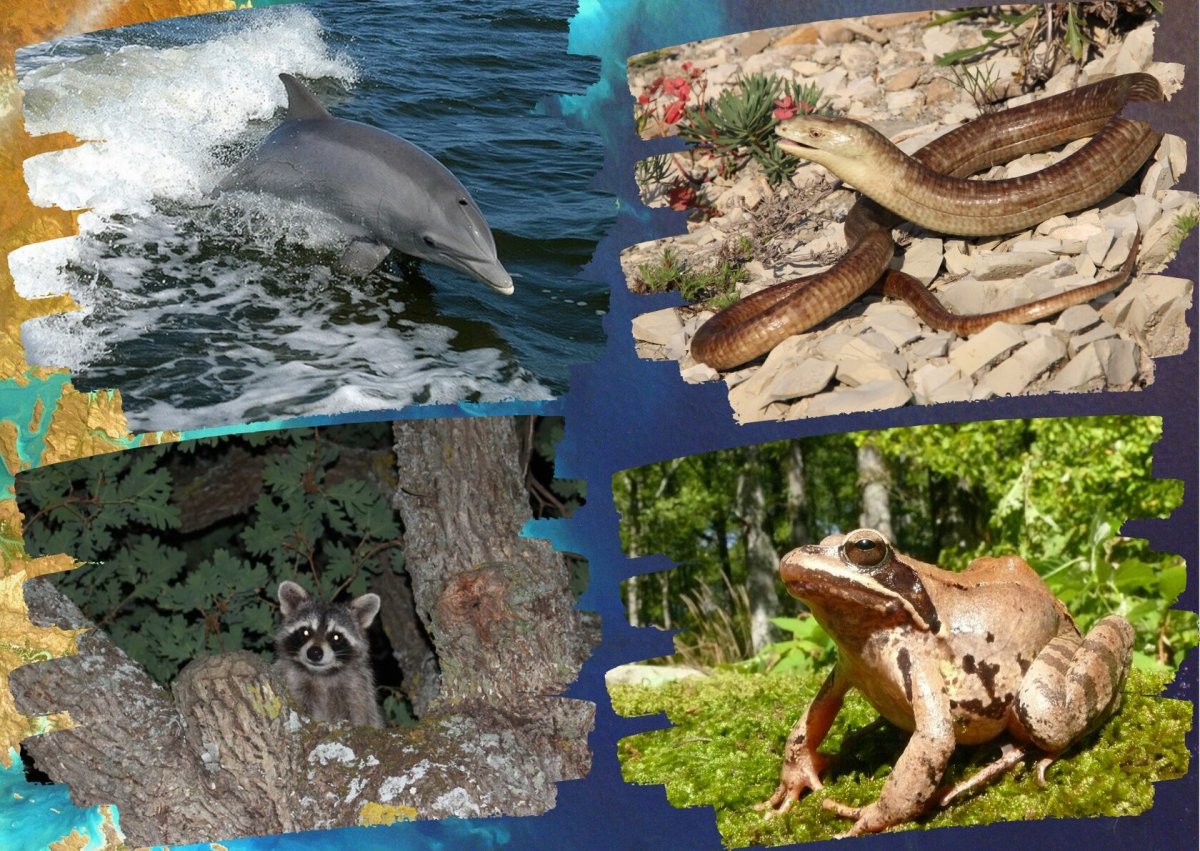 11 Января день заповедников и национальных парков