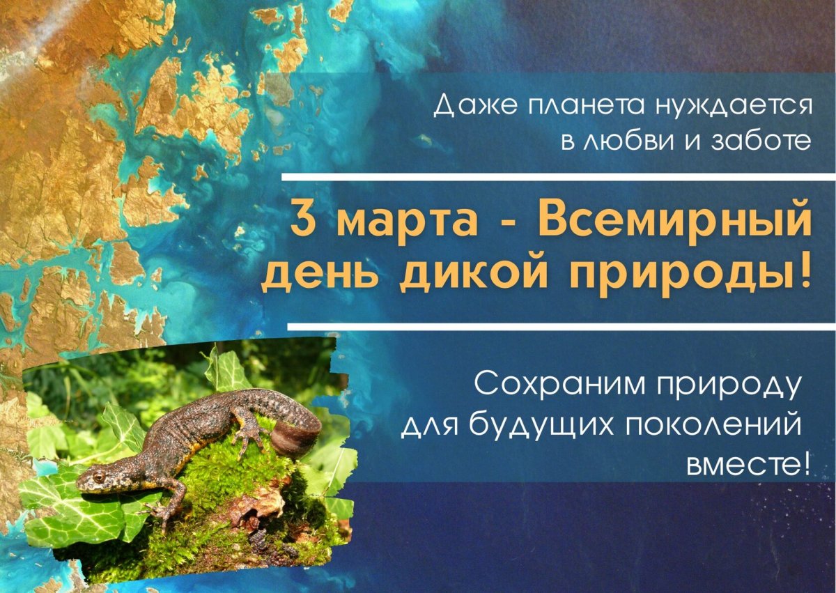 Всемирный день дикой природы клипарт
