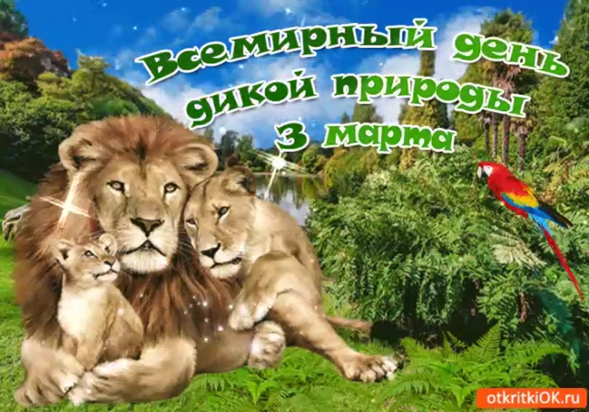 Животные земли