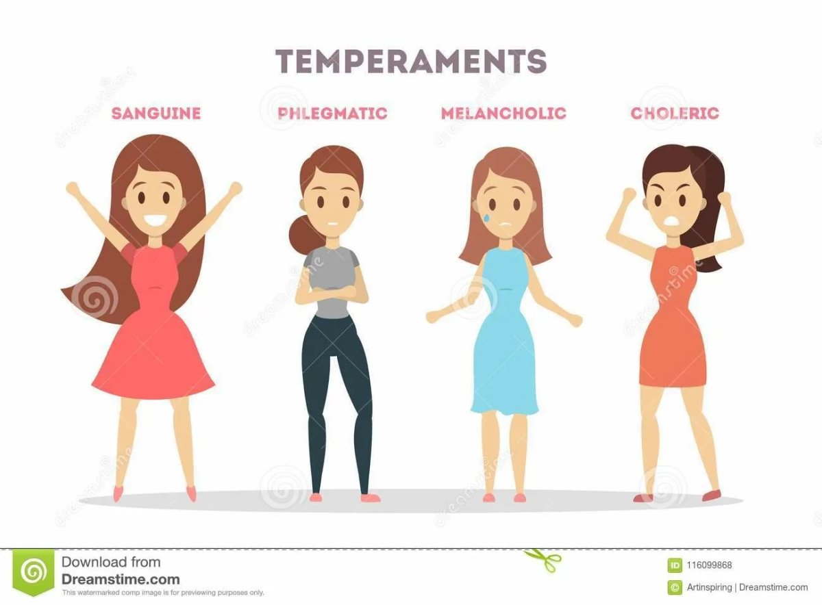 Темперамент на прозрачном фоне