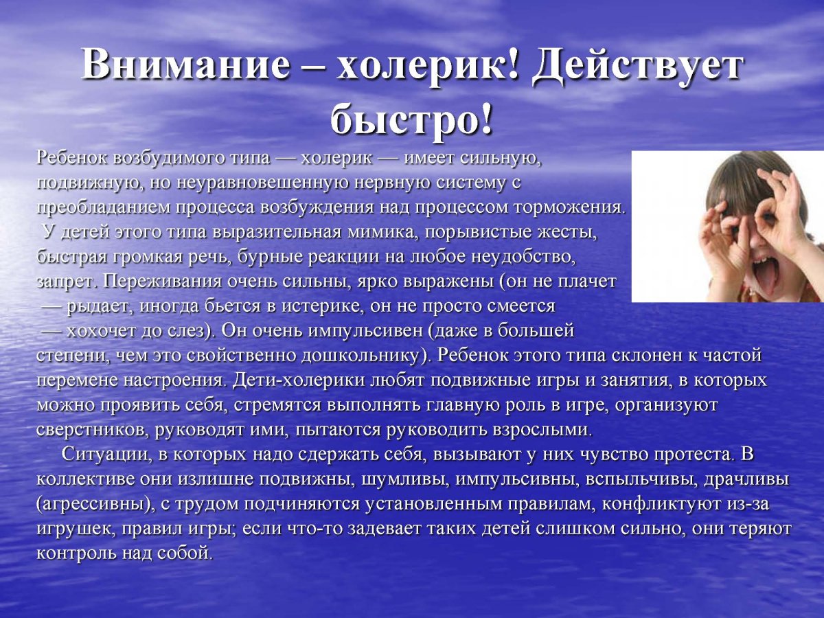 Кот холерик