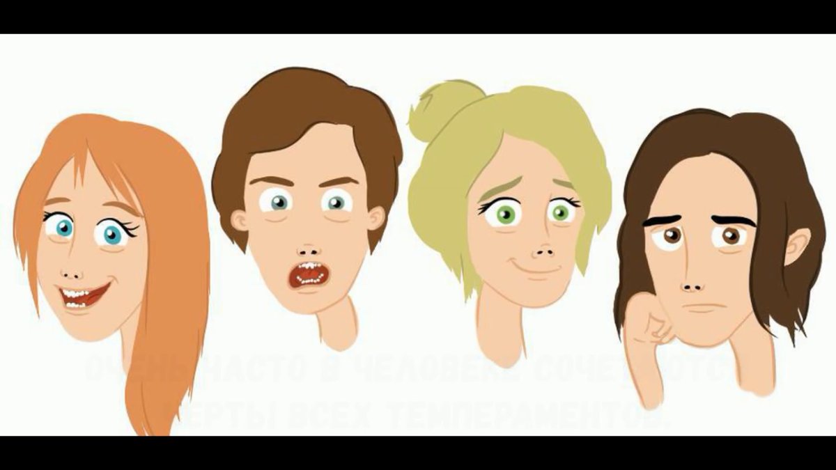 Бидструп 4 типа темперамента