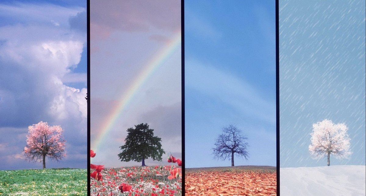 Чистая Планета земля