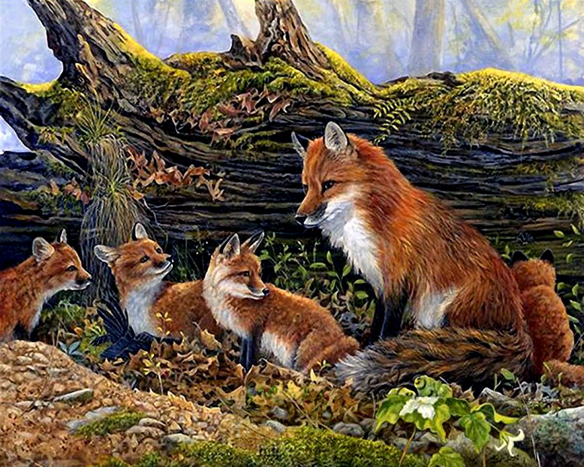 Алана Битиева «лиса с лисятами»)