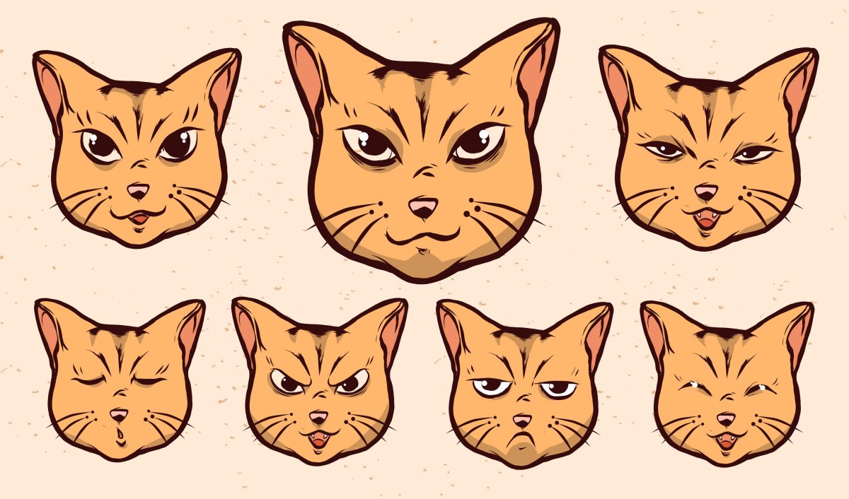 Кошачье выражение лица