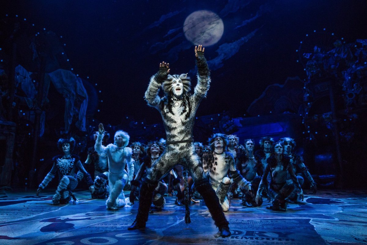 Мюзикл кошки Бродвей