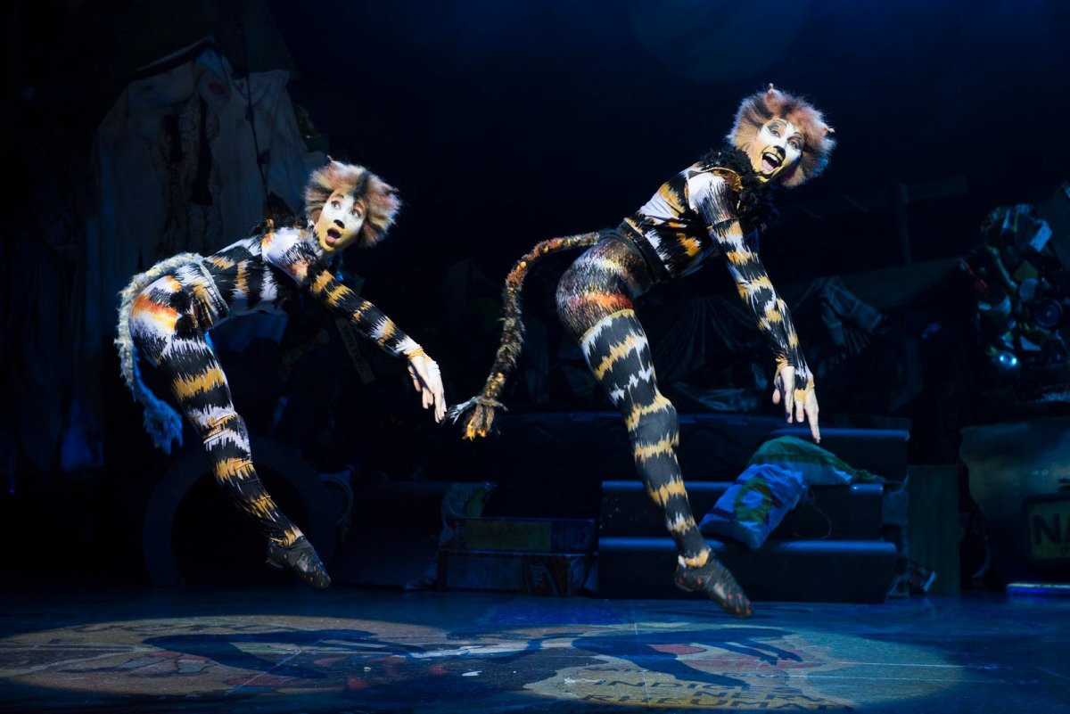 Мюзикл кошки 1981