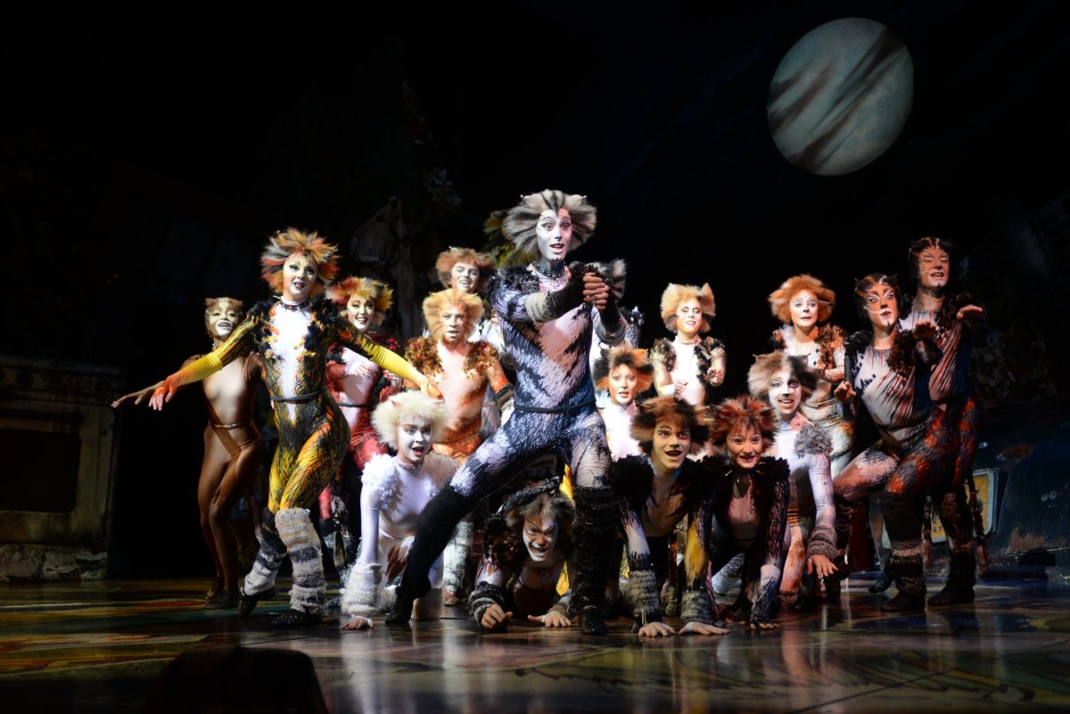 Мюзикл кошки Томас Элиот