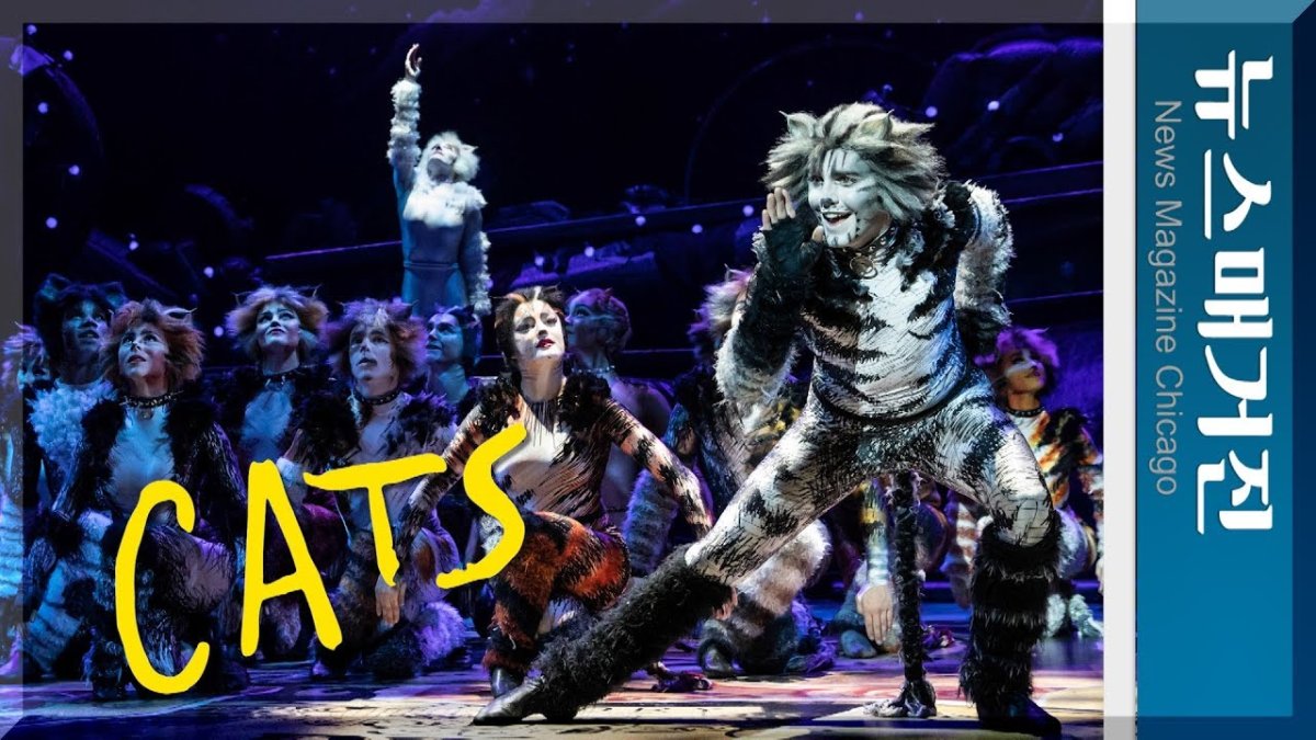 Кошки мюзикл Постер