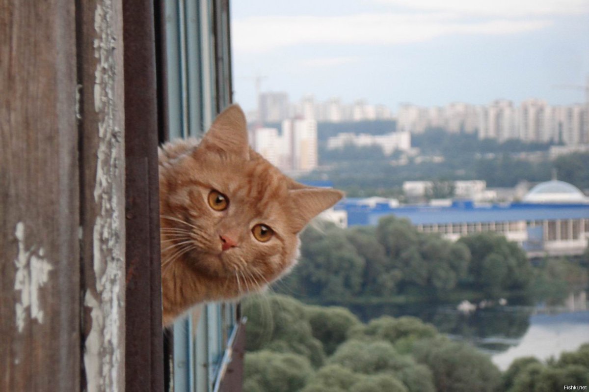 Лепота загородный эко-отель семейный таунхаус