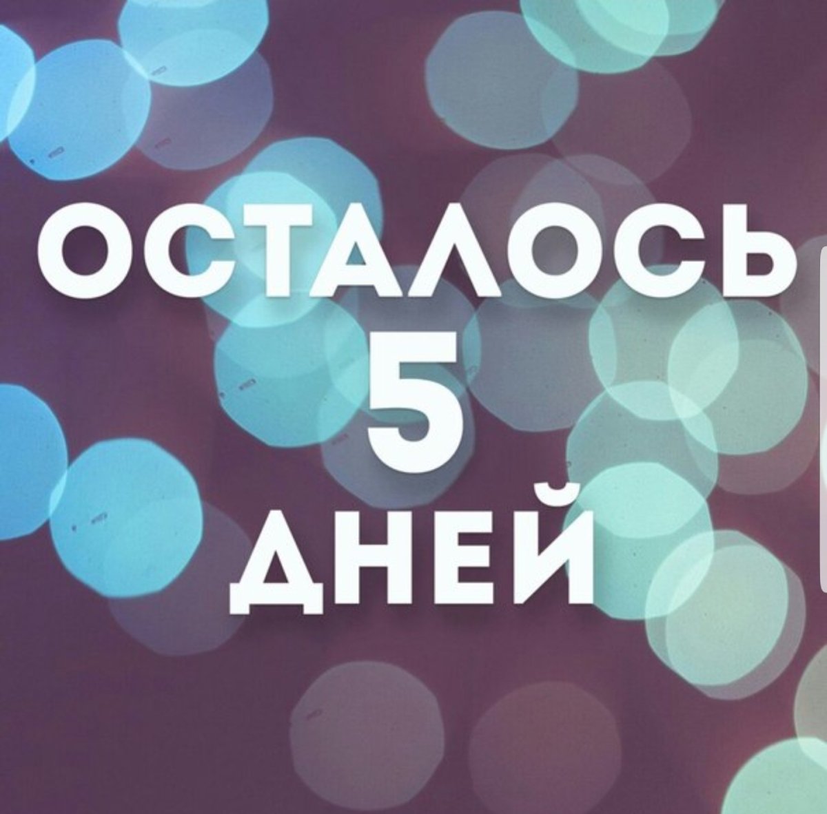 Последний день конкурса