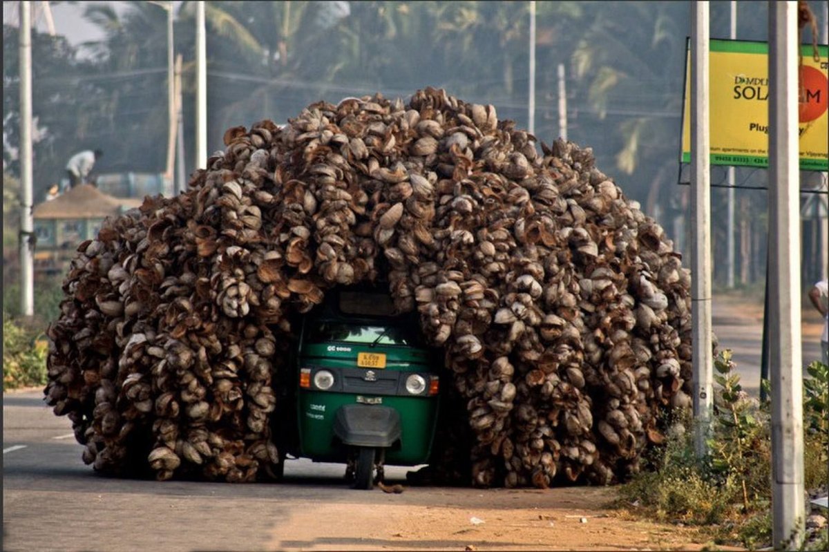 Грузоперевозки креатив