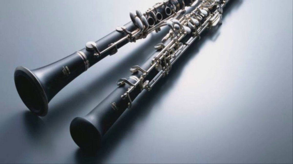 Гобой и кларнет инструменты