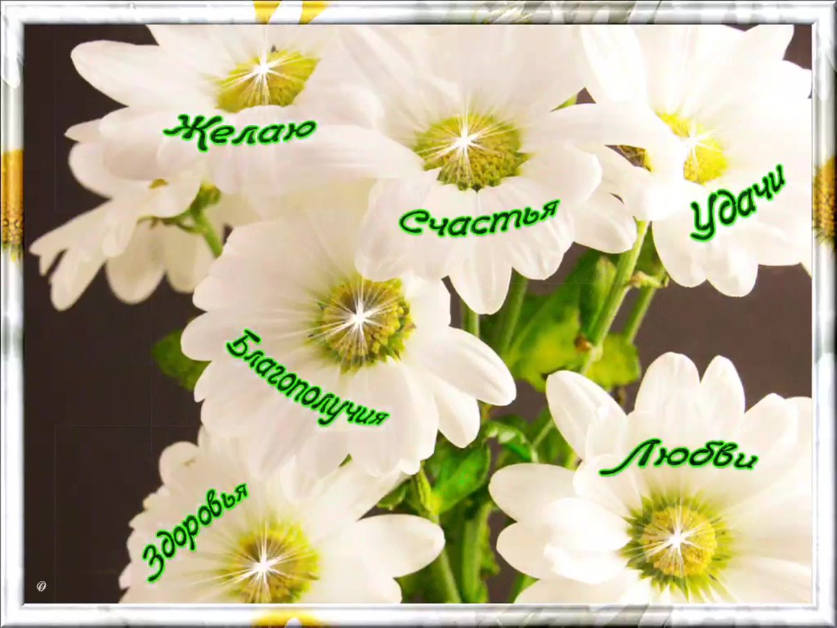 Стильные открытки с добрыми пожеланиями