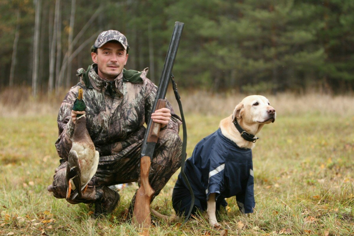 Охотник с собакой