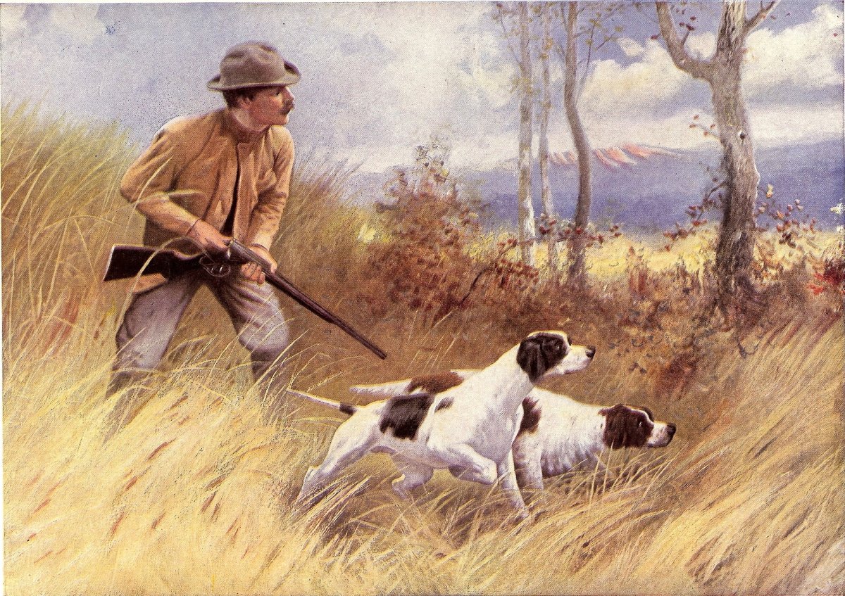 Линн Боуг Хант