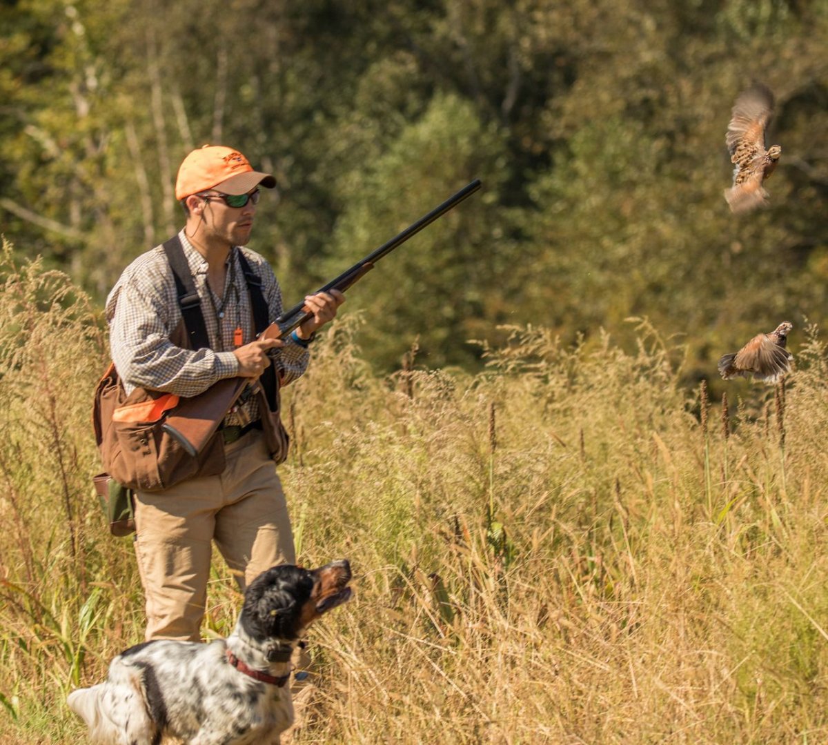 Охота в живописи немецких художников