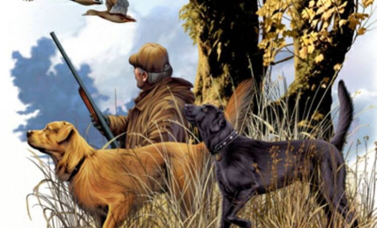 Охота иллюстрации