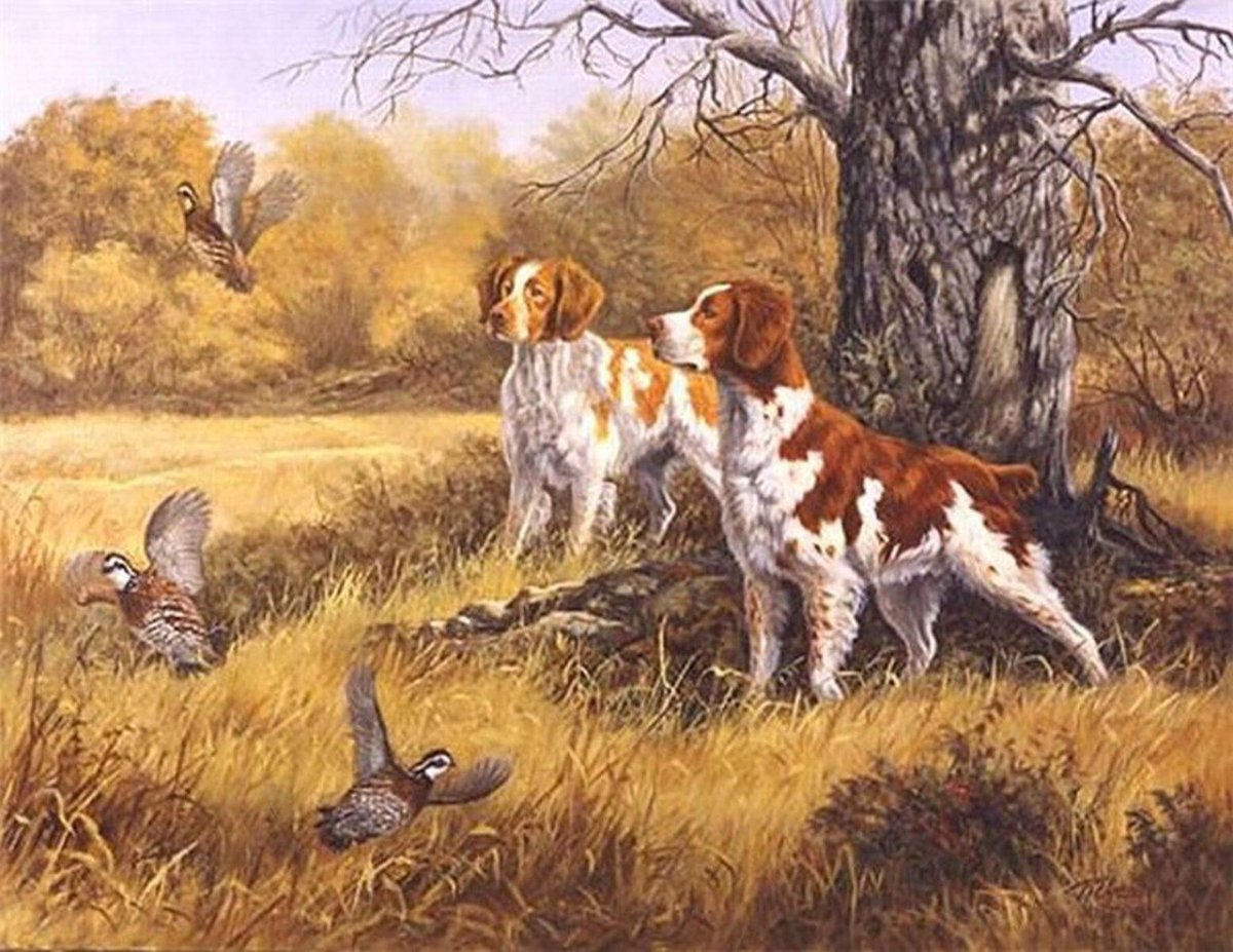 Охотник целится из ружья