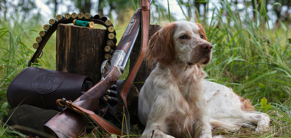 Охотник на фоне заката