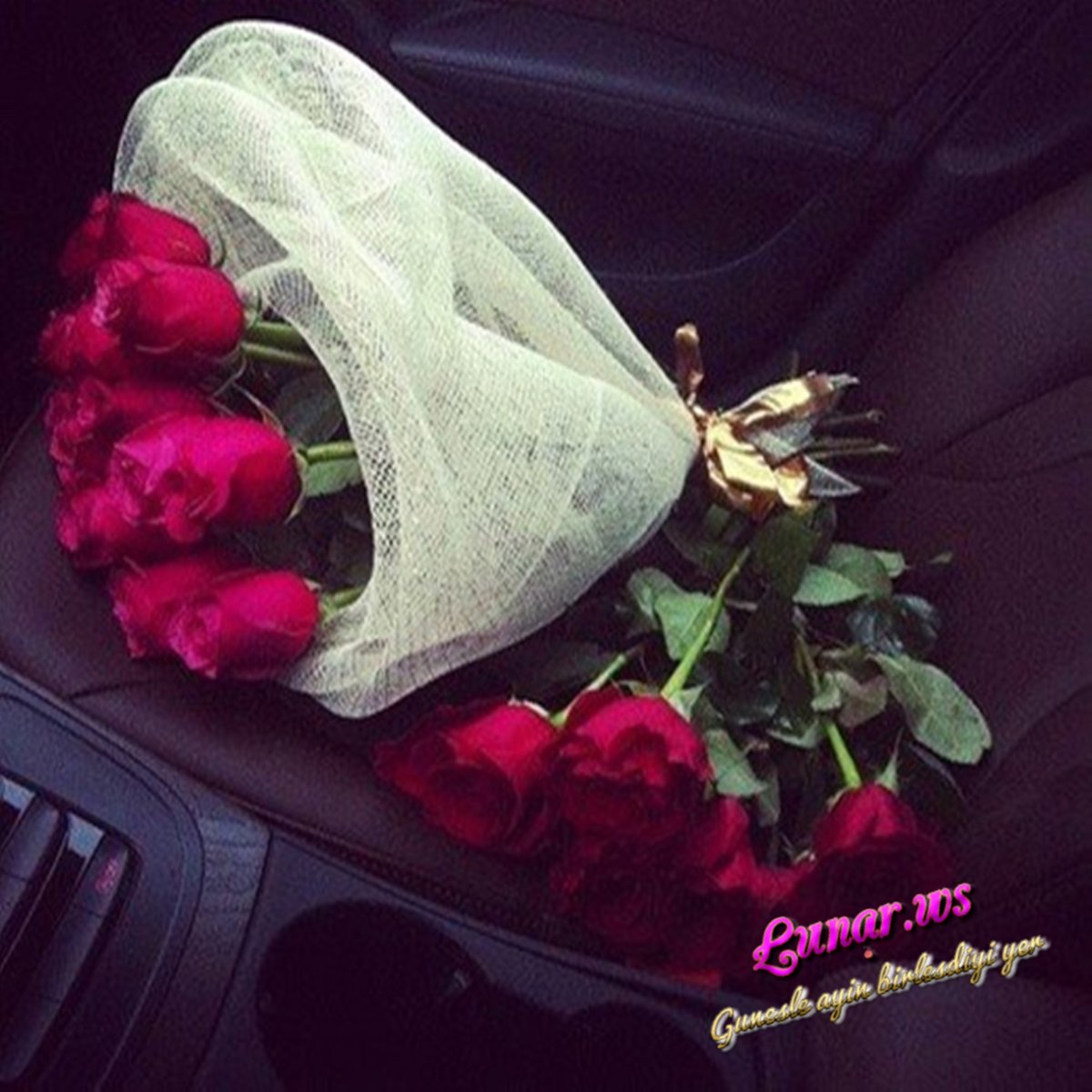 Цветы в машине Ауди