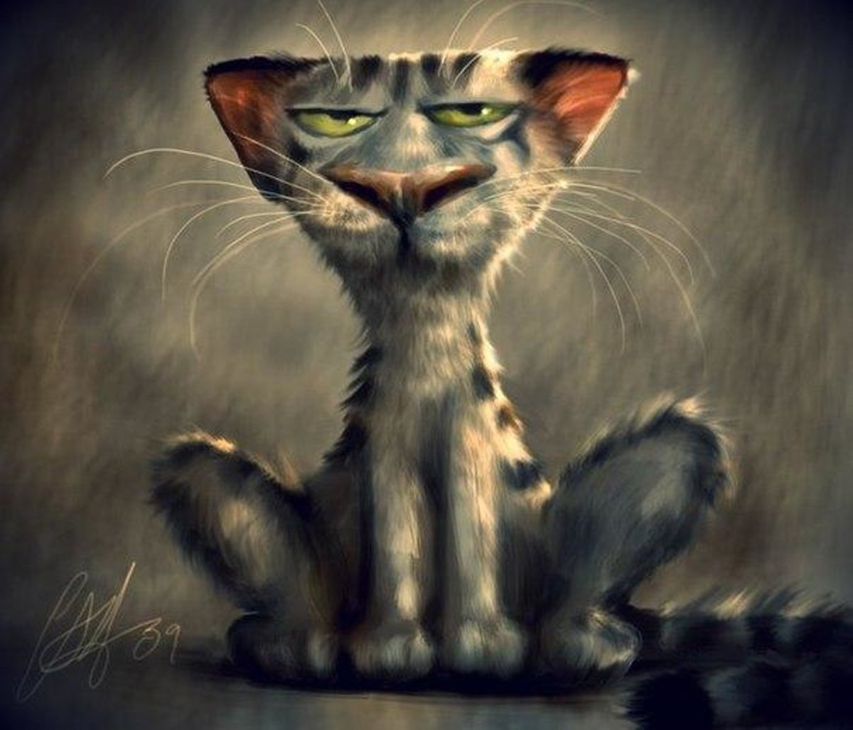 Злой кот картинки