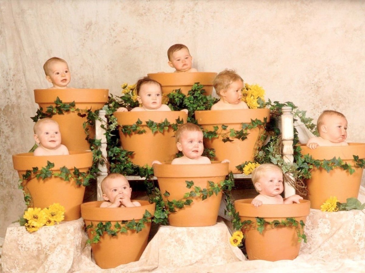 Фотограф детей Анна Геддес