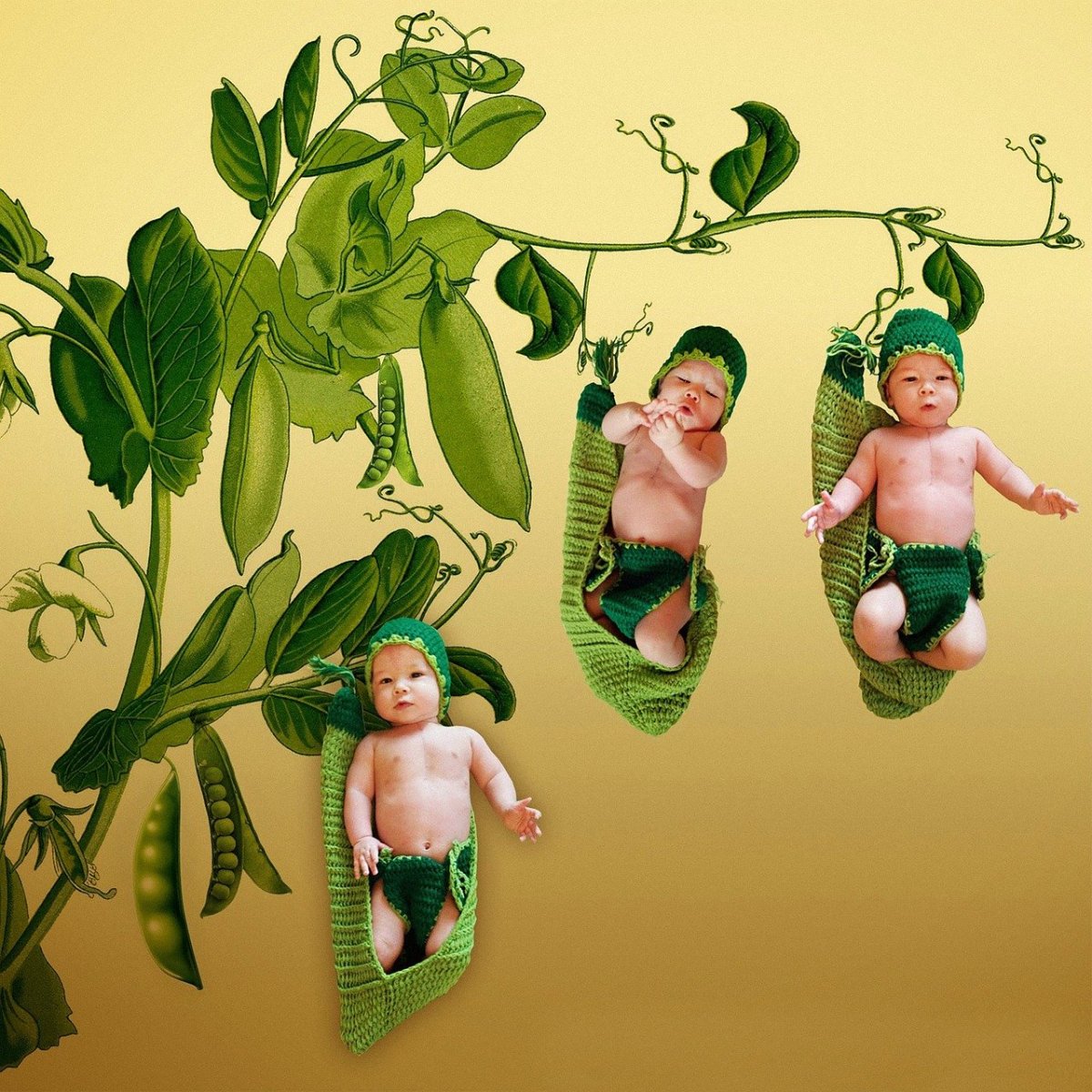 Маленькие цветы детям