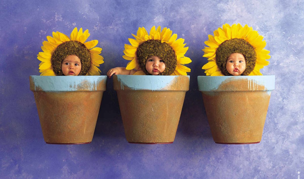 Дети цветы жизни прикол