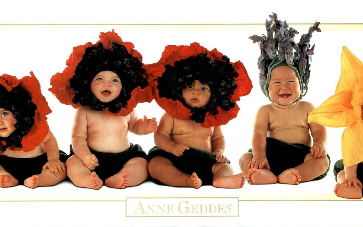 Высказывания про двойняшек мальчиков