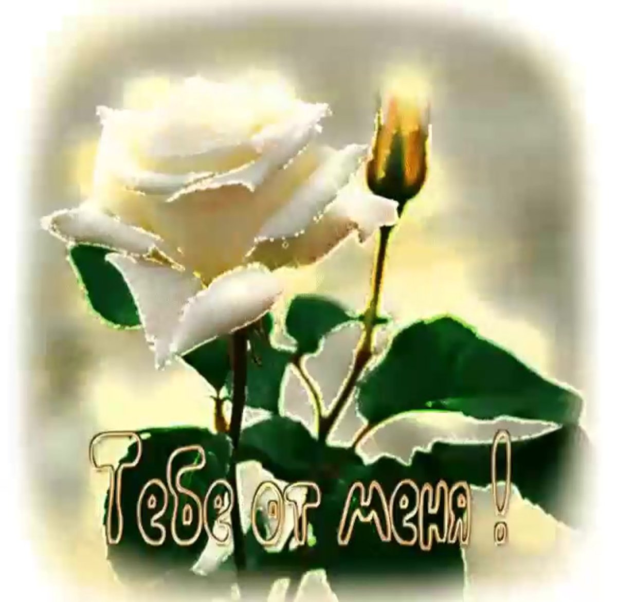 Красивые открытки с благодарностью