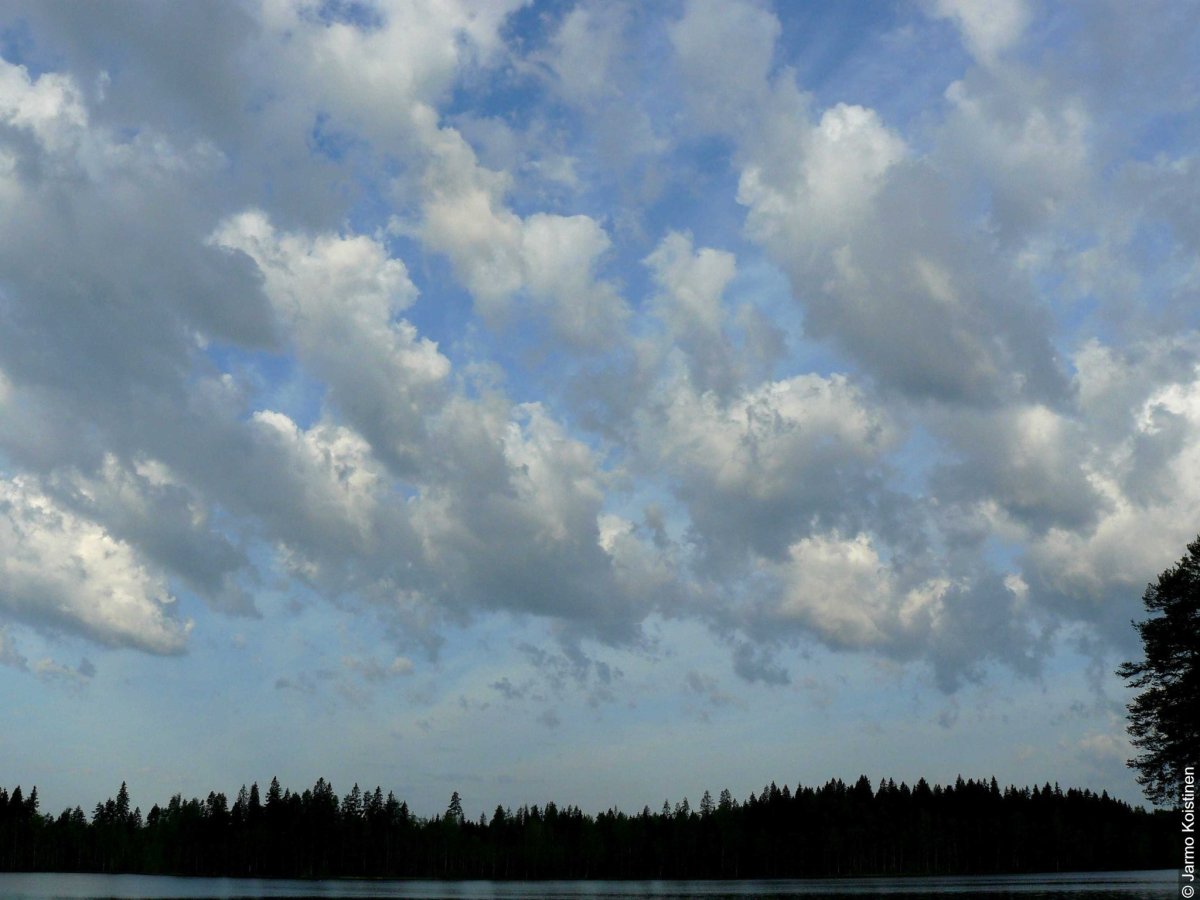 Слоисто-Кучевые кучевообразные