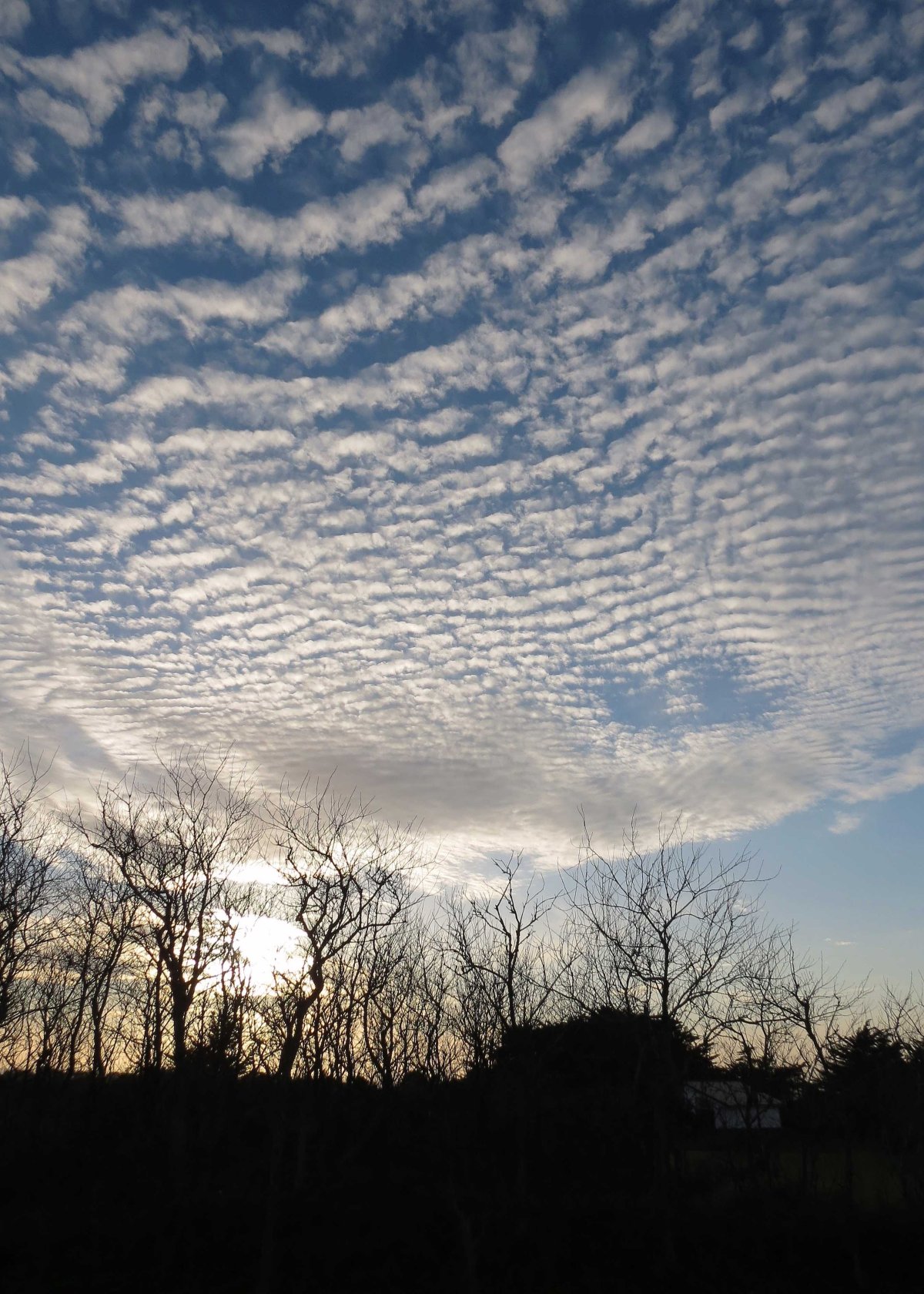 Облака Кучевые перистые Слоистые