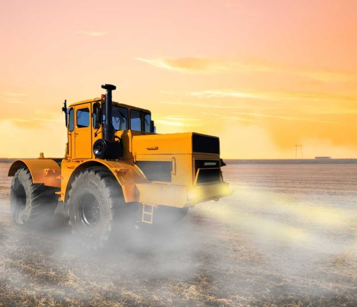 Телки и трактор