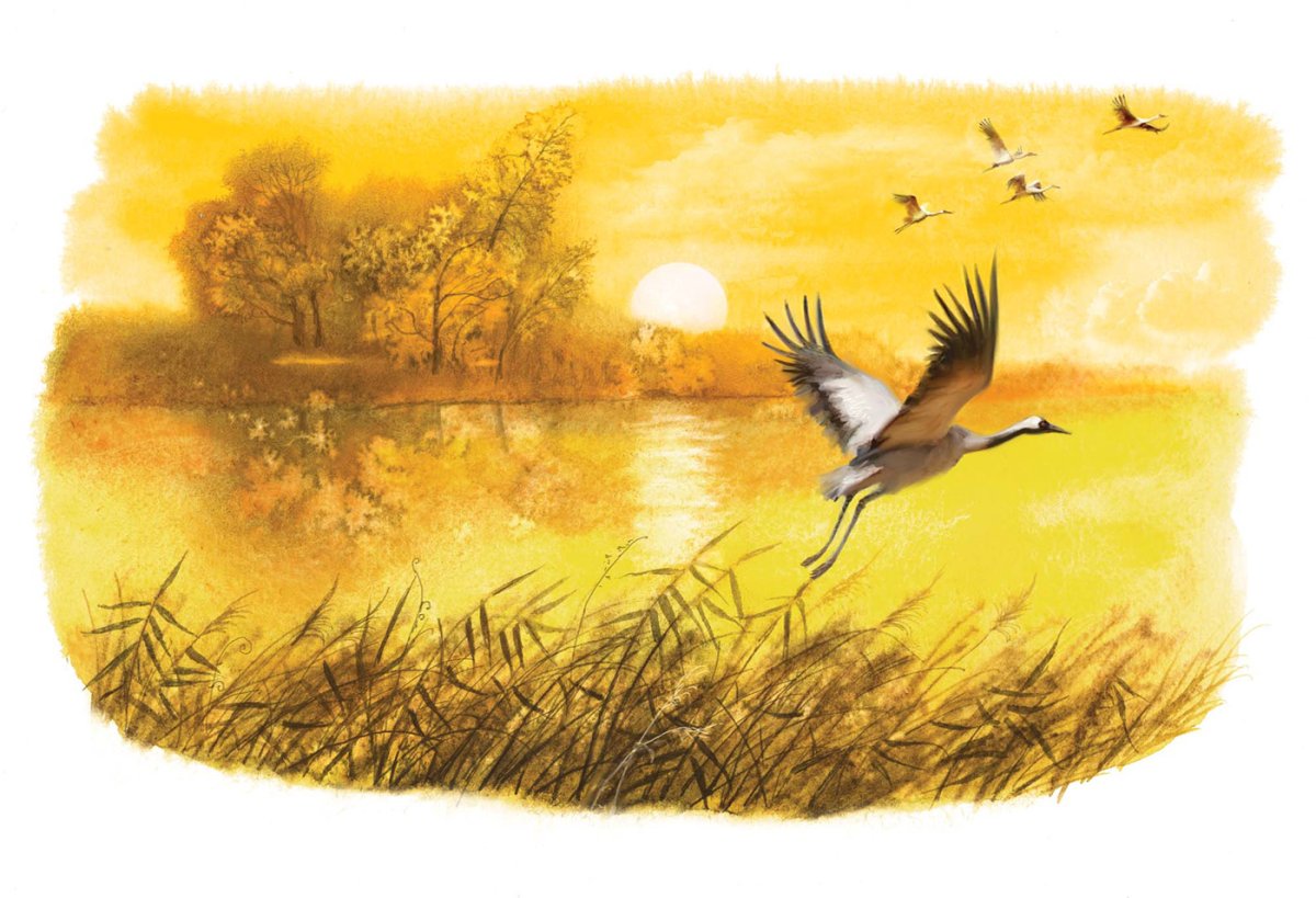 Михаил пришвин 1248