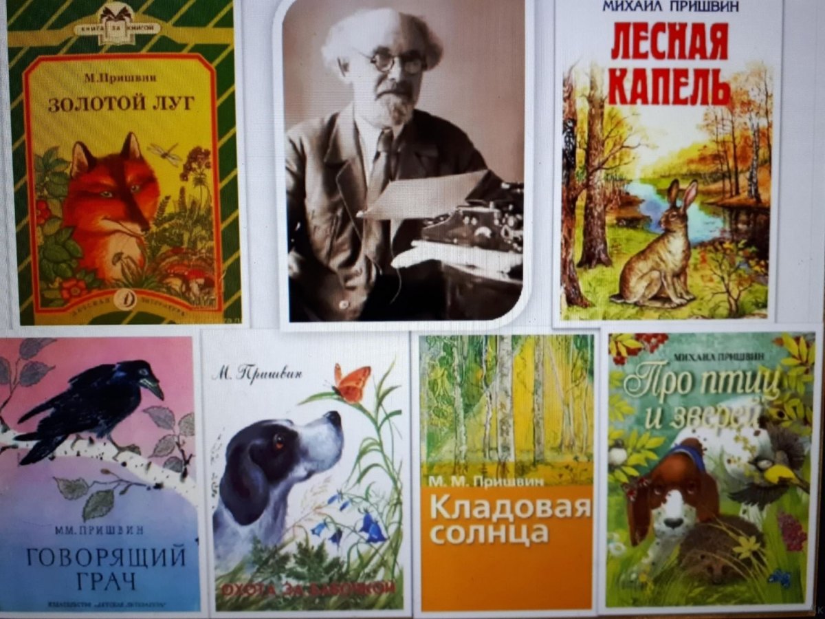 Пришвин Михаил Михайлович писатель-натуралист