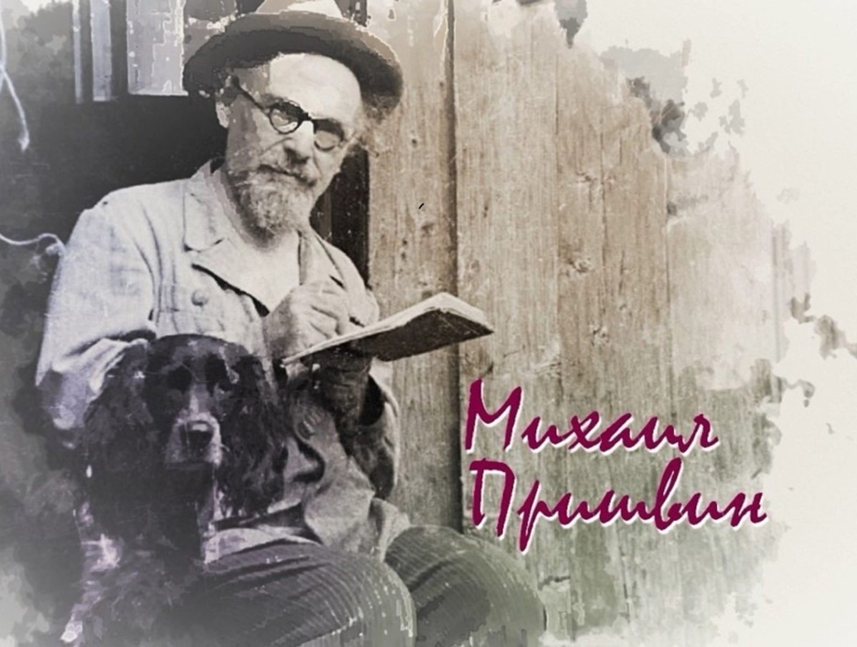 Трава Белоус в рассказе кладовая солнца