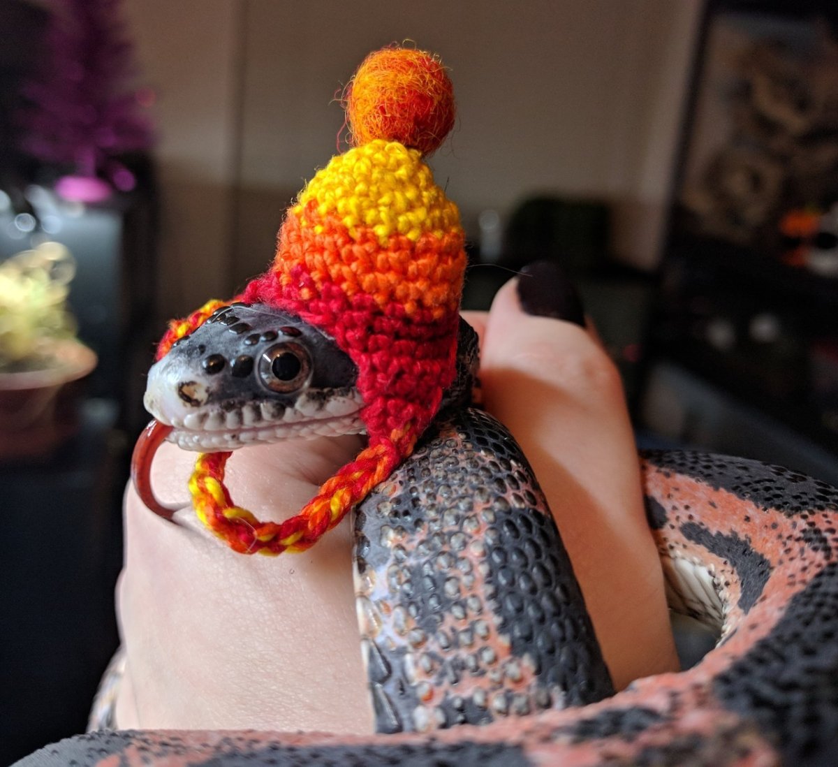 Клубок змей