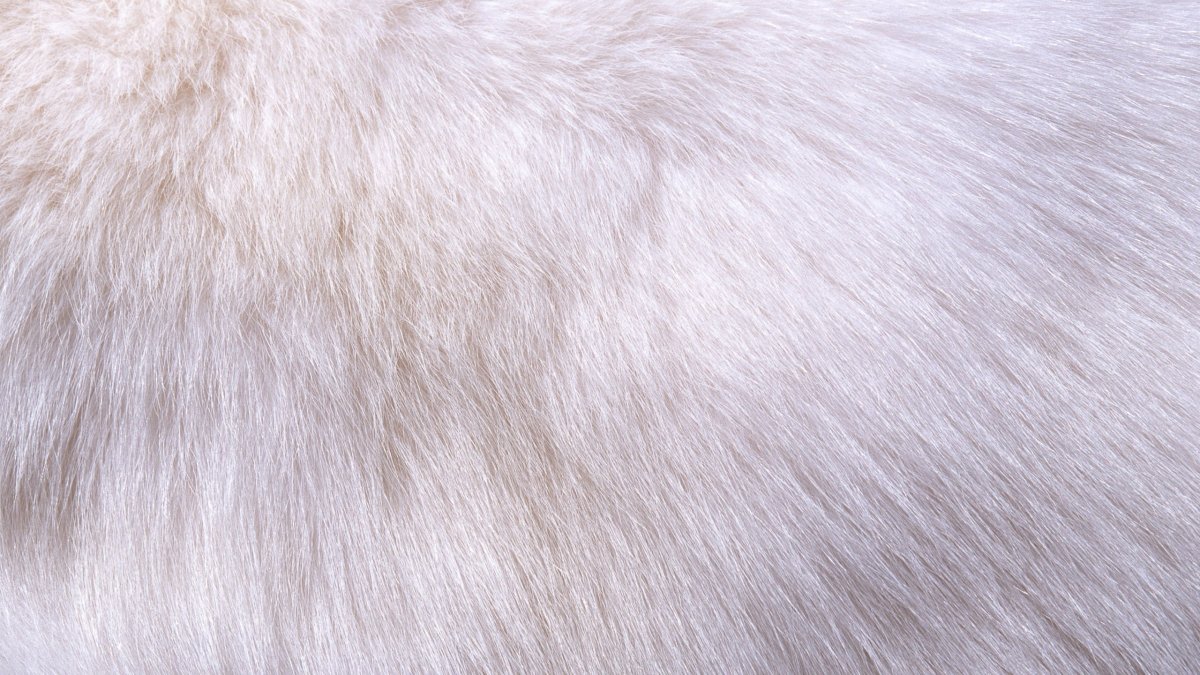 Мех фактура