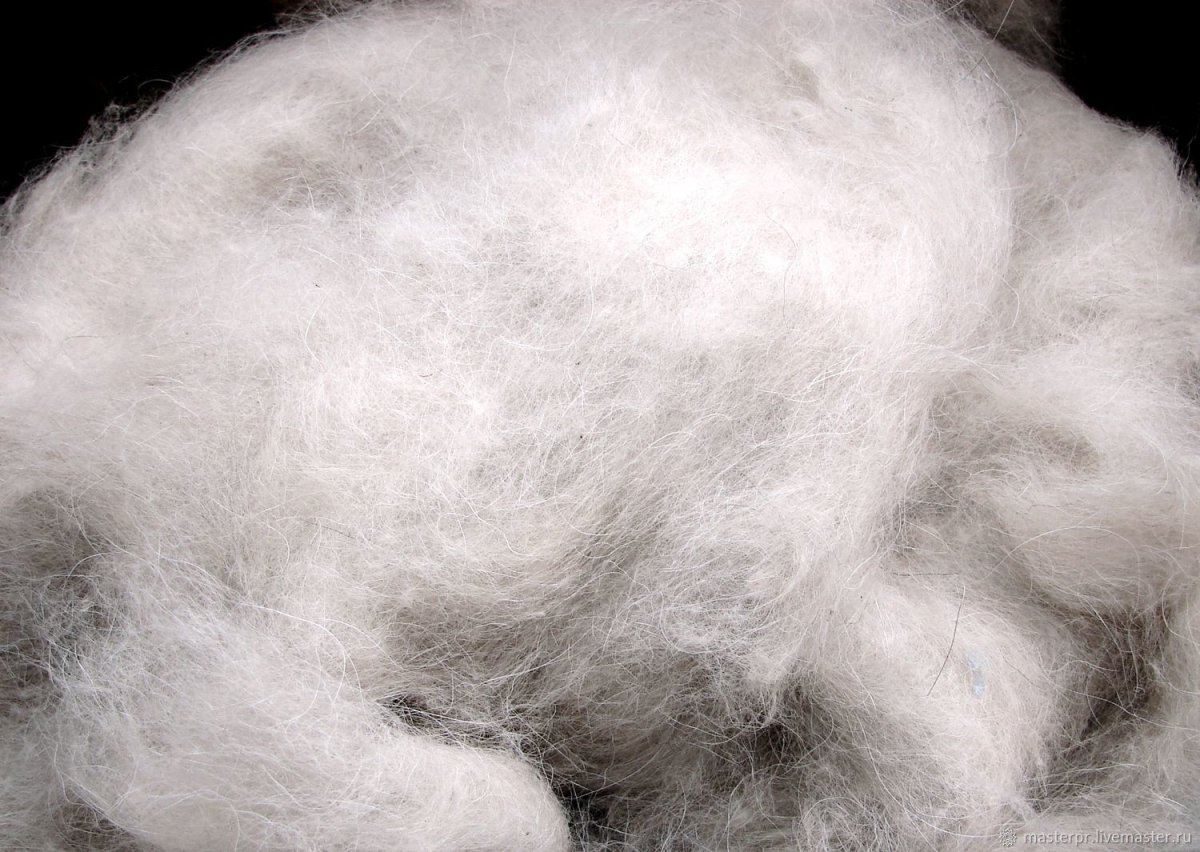 Собачья шерсть