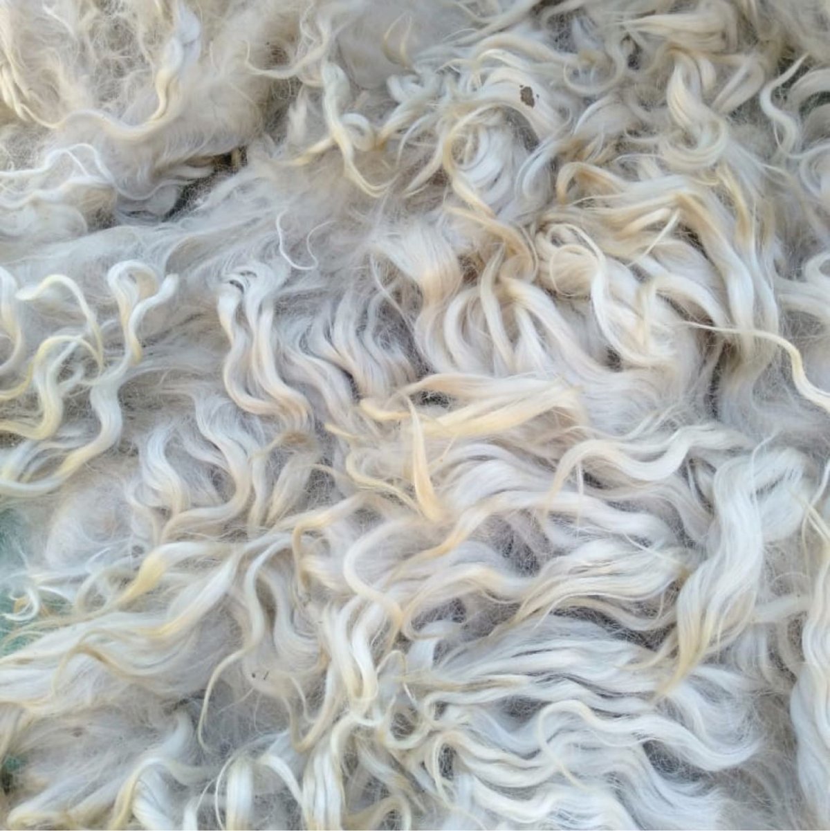 Козья шерсть