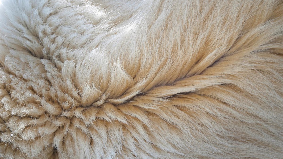 Овечья шерсть для валяния