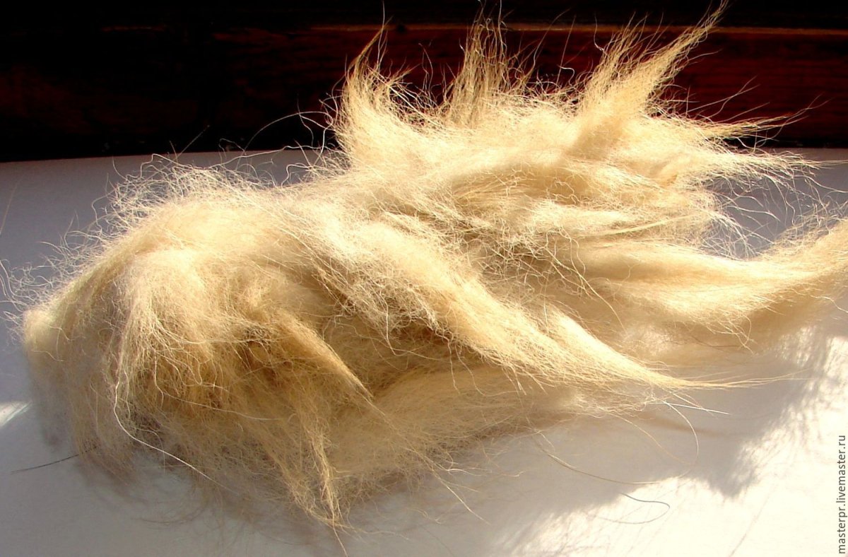 Кусочек шерсти